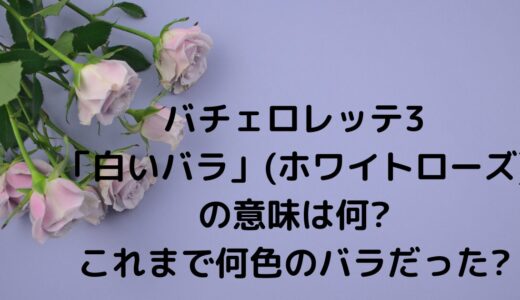 バチェロレッテ3「白いバラ」(ホワイトローズ)の意味は何?これまで何色のバラ?