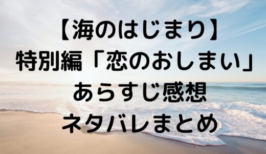 【海のはじまり】特別編「恋のおしまい」あらすじ感想ネタバレまとめ