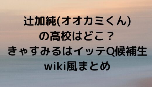 きゃすみるのすっぴんもかわいい？辻加純の高校はどこで学歴はwiki風まとめ