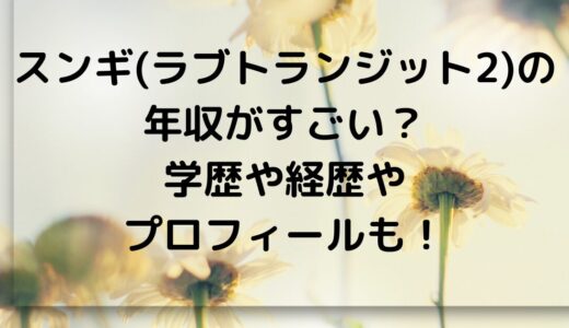 スンギ(ラブトランジット2)の年収がすごい！学歴や経歴やプロフィールも！