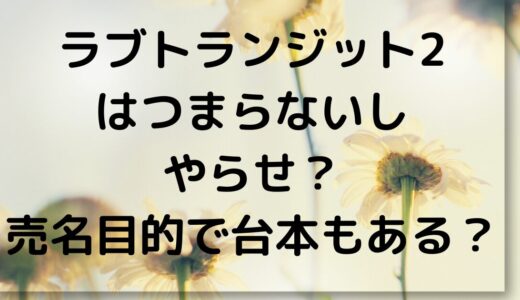 ラブトランジット2は微妙！売名目的でつまらないしやらせ？台本もある？