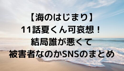 【海のはじまり】11話夏くん可哀想！結局誰が悪くて被害者なのかSNSのまとめ